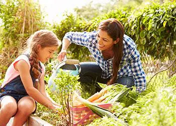 A woman and a young girl are gardening, with a basket of vegetables nearby. The woman is watering plants while the girl tends to them. Both appear focused on their tasks.