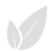 A simple white leaf icon on a transparent background.