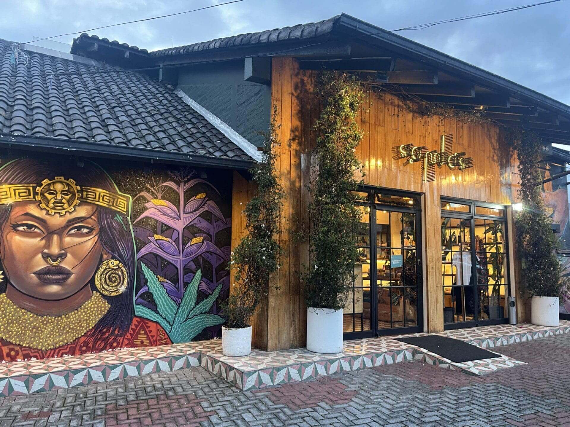 Colorful mural on building exterior with plants.