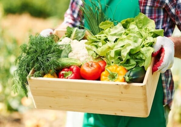 close-up-box-with-vegetables-hands-mature-man_329181-46001-20260525162659