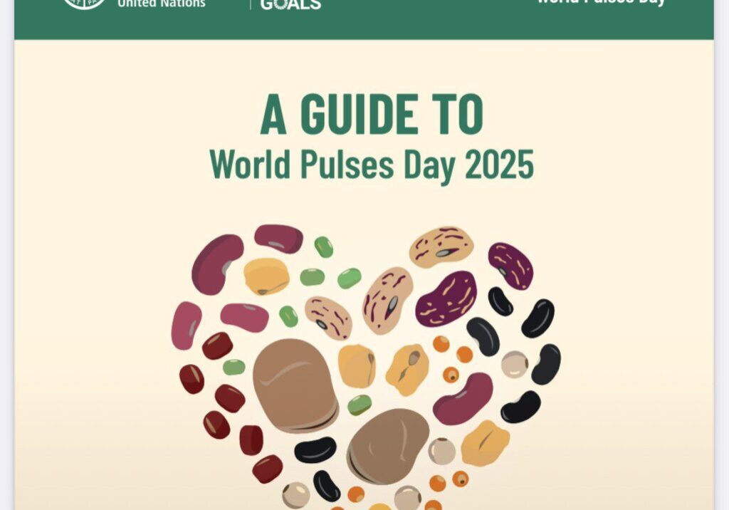 guide_world_pulses_day_fao_sdgs